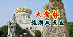 喷潮mp4中国浙江-绍兴大香林旅游风景区